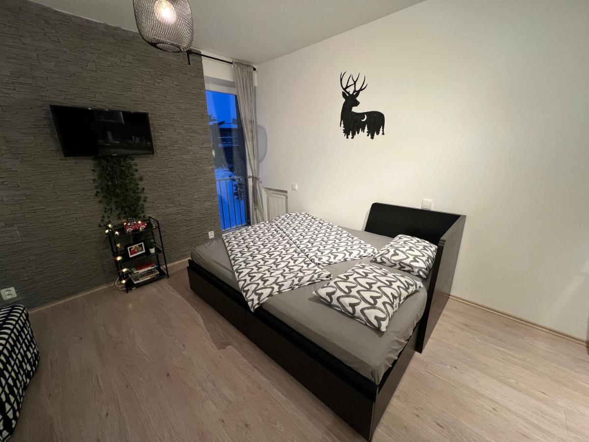 New Nelis Apartment Klinovec Loučná pod Klínovcem Zewnętrze zdjęcie