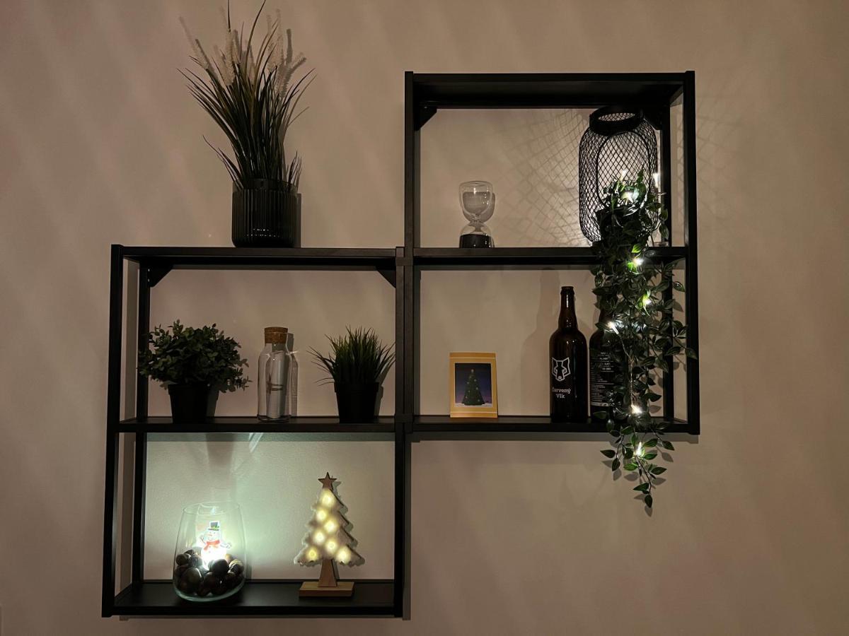New Nelis Apartment Klinovec Loučná pod Klínovcem Zewnętrze zdjęcie