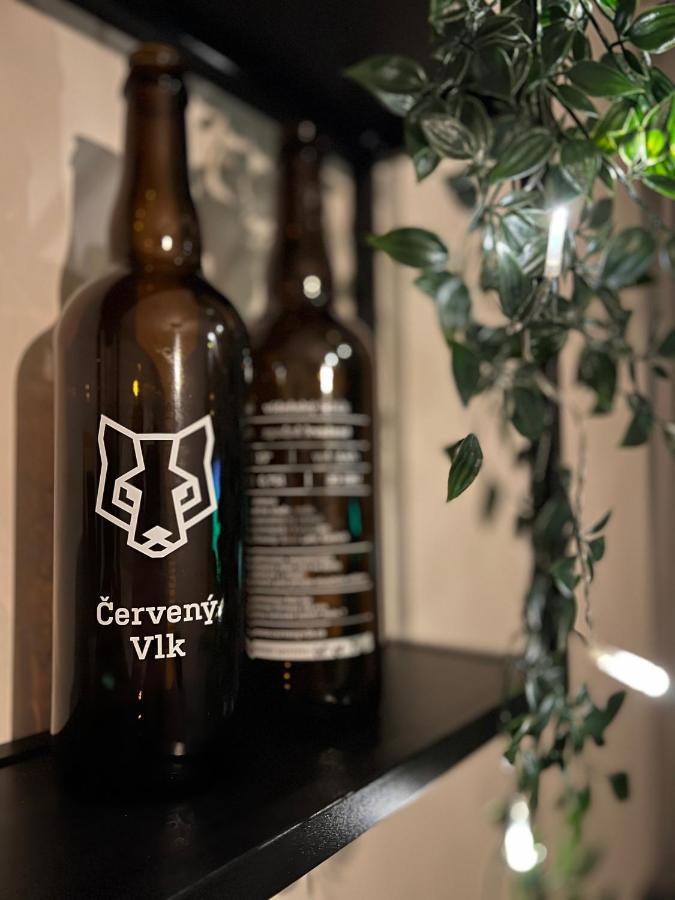 New Nelis Apartment Klinovec Loučná pod Klínovcem Zewnętrze zdjęcie